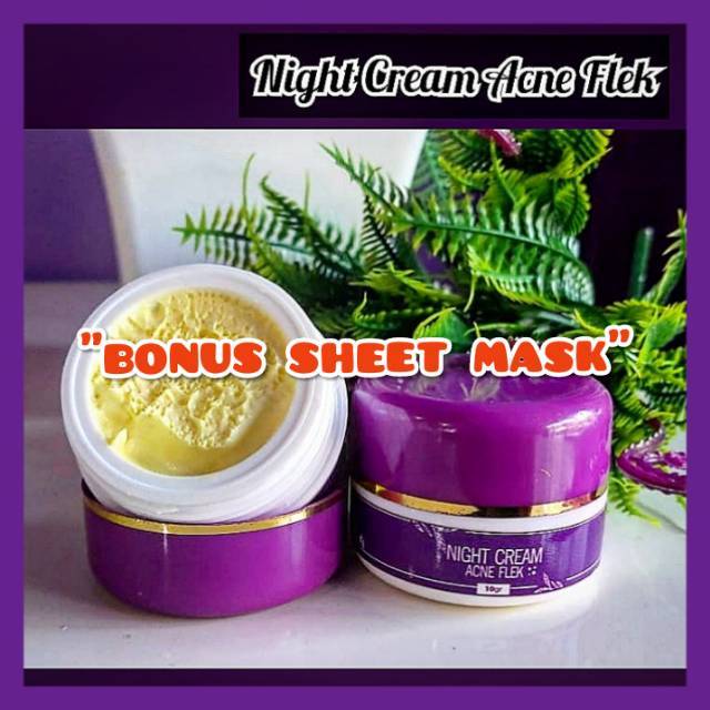 [BISA COD] NIGHT CREAM ACNE FLEK - NS SKINCARE