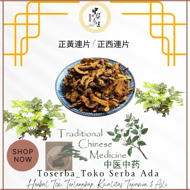 

100gr Herbal Zheng Huang Lian 正黃連 Zheng Xi Lian 正西連 Coptis Chinensis Rhizoma Coptidis Coptis Root Golden Thread