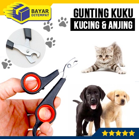 Gunting Kuku PANJANG Kucing Anjing Kelinci Binatang Hewan