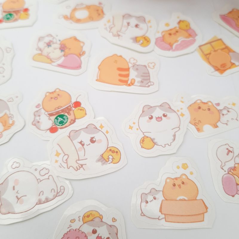 

Stiker Kucing Oren Gembul Lucu Imut Cute