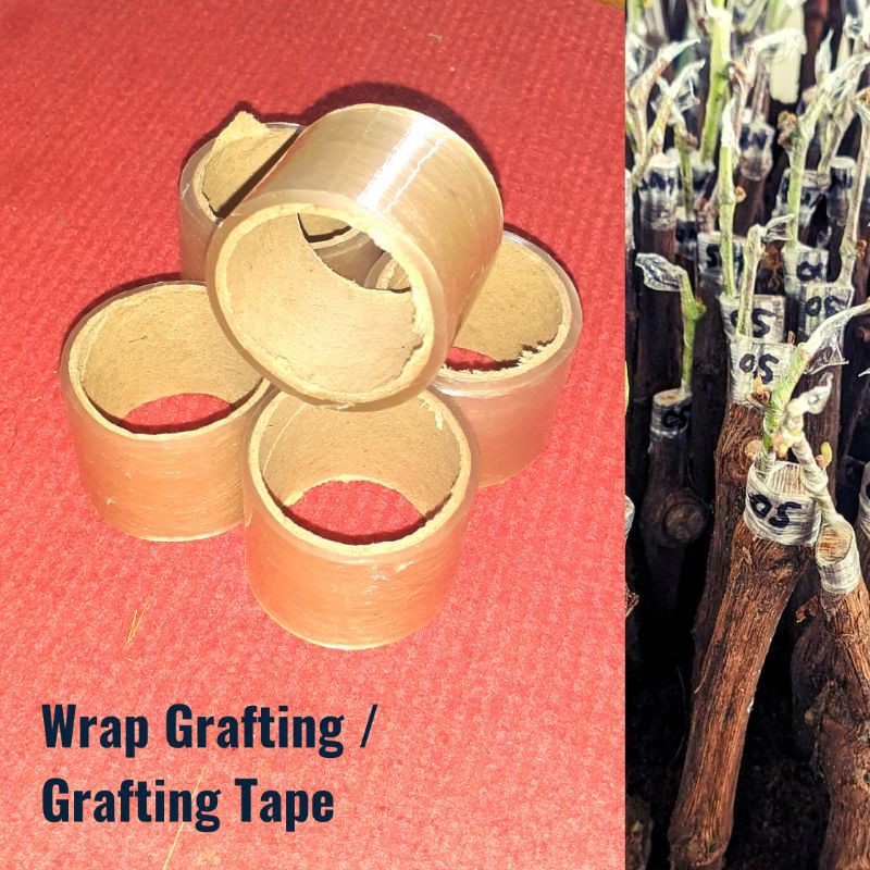 Grafting Tape / Plastik Grafting / Pllastik okulasi / wrap Grafting / Grafting