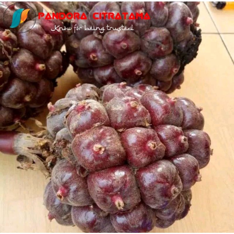 

1Kg Buah honje merah / honje laka Segar