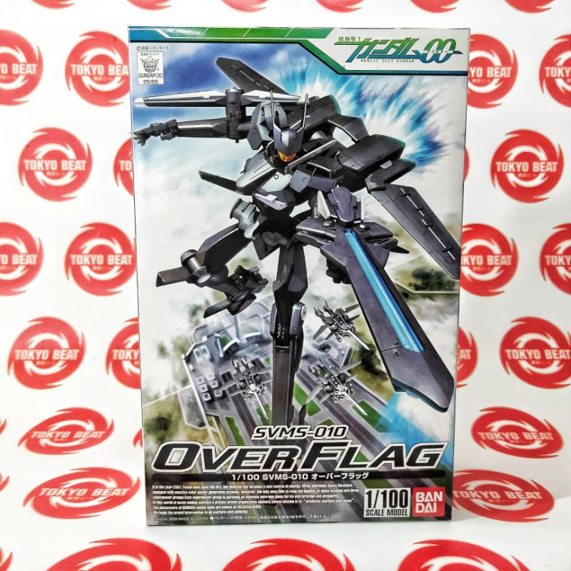 1/100 OVER FLAG OVERFLAG