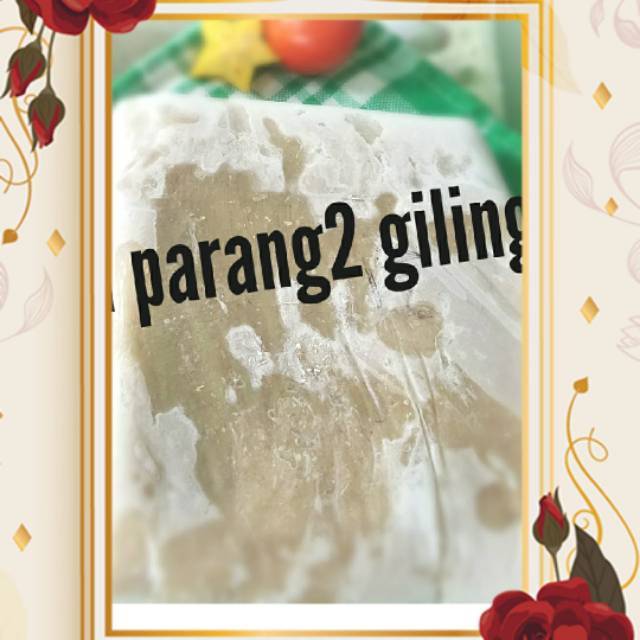 IKAN PARANG/GOLOKAN GILING