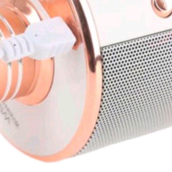 ♔ WS858 Mircophone Bluetooth WS-858 MIC KARAOKE KTV ✵
