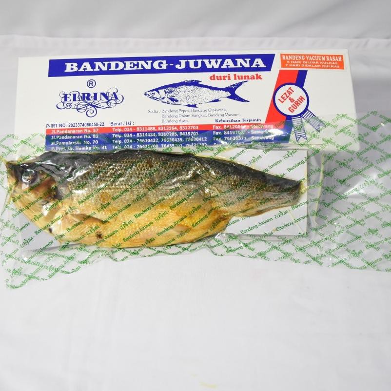 

[KODE 934] BJ Elrina Bandeng Vacuum BASAH 0.5kg (tahan 5 hari) merek Bandeng Juwana Elrina