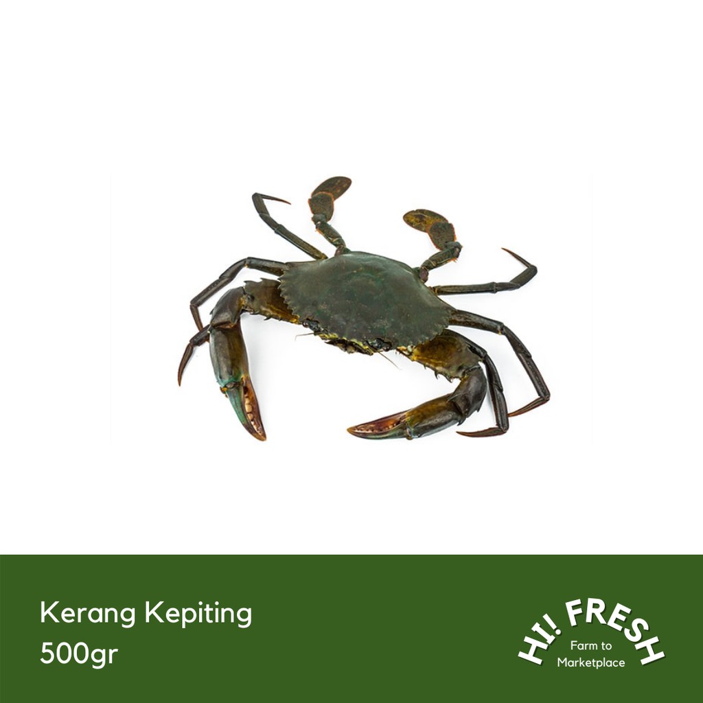 

Kepiting 500gr
