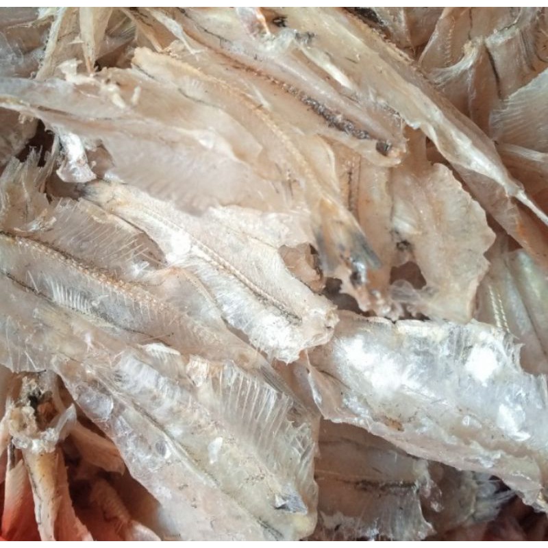 

Ikan Kapasan Asin 100 gr packing vacuum sealer