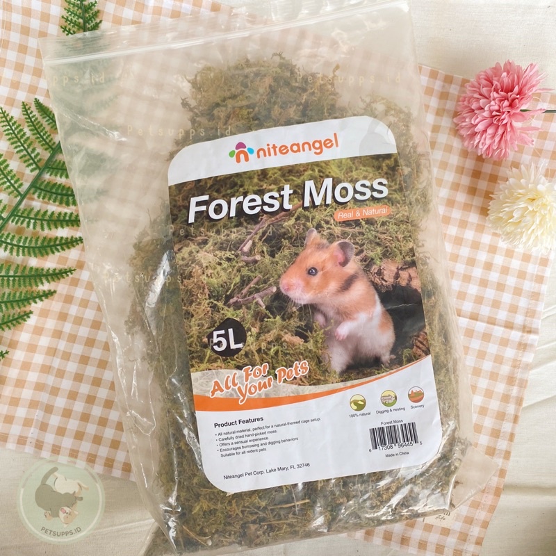 Niteangel dried forest moss 10gr repacked | cage decoration | alami dan dibersihkan