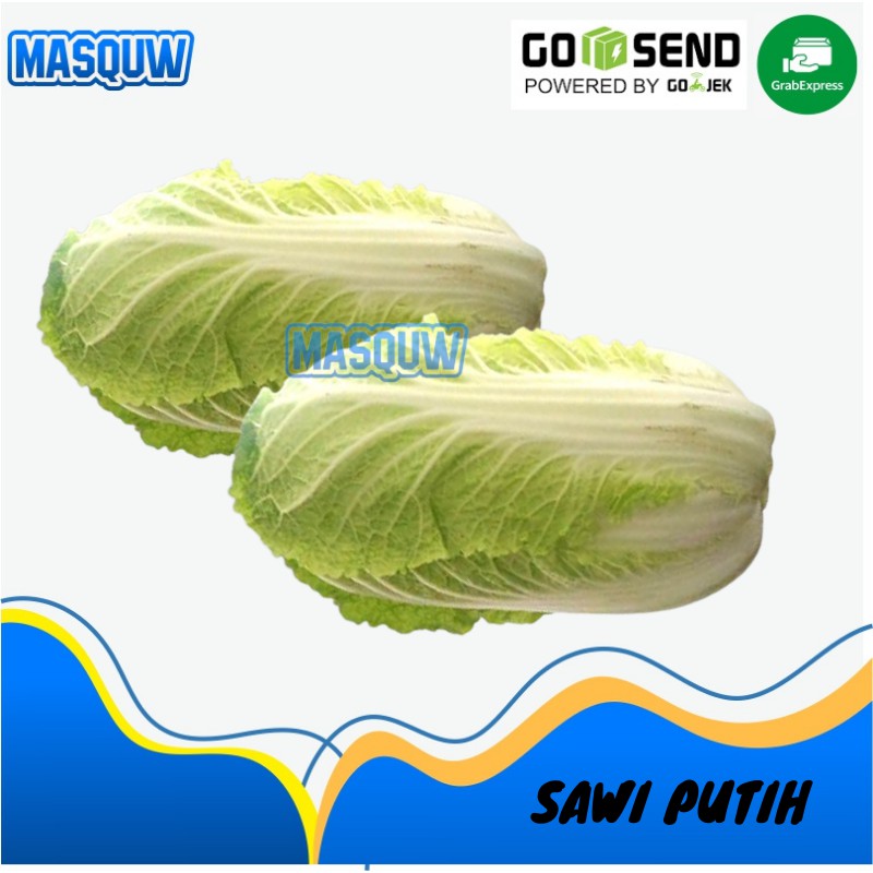 

SAWI PUTIH POKCOY ORGANIK / CHINESE CABBAGE SAYUR SAYURAN SEGAR 500 gram - 1 KG SIDOARJO / MASQUW