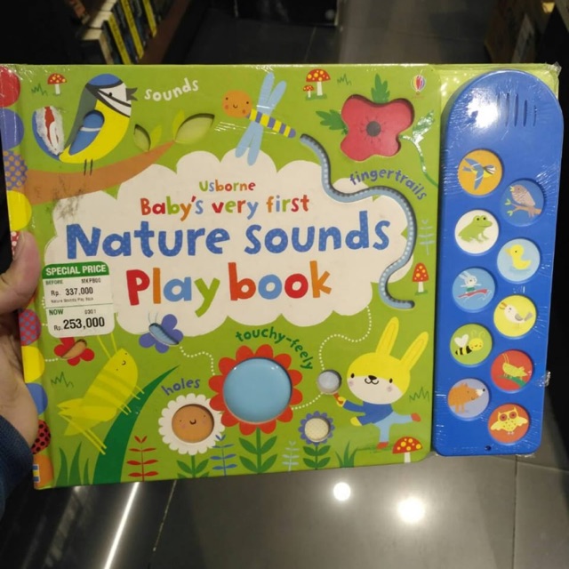 Usborne Soundbook