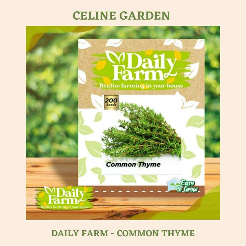 BIBIT THYME / COMMON THYME / DAILY FARM / ORIGINAL