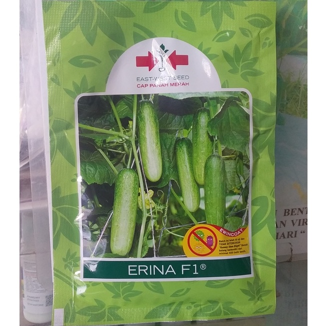 Benih Timun Erina F1 800 Butir