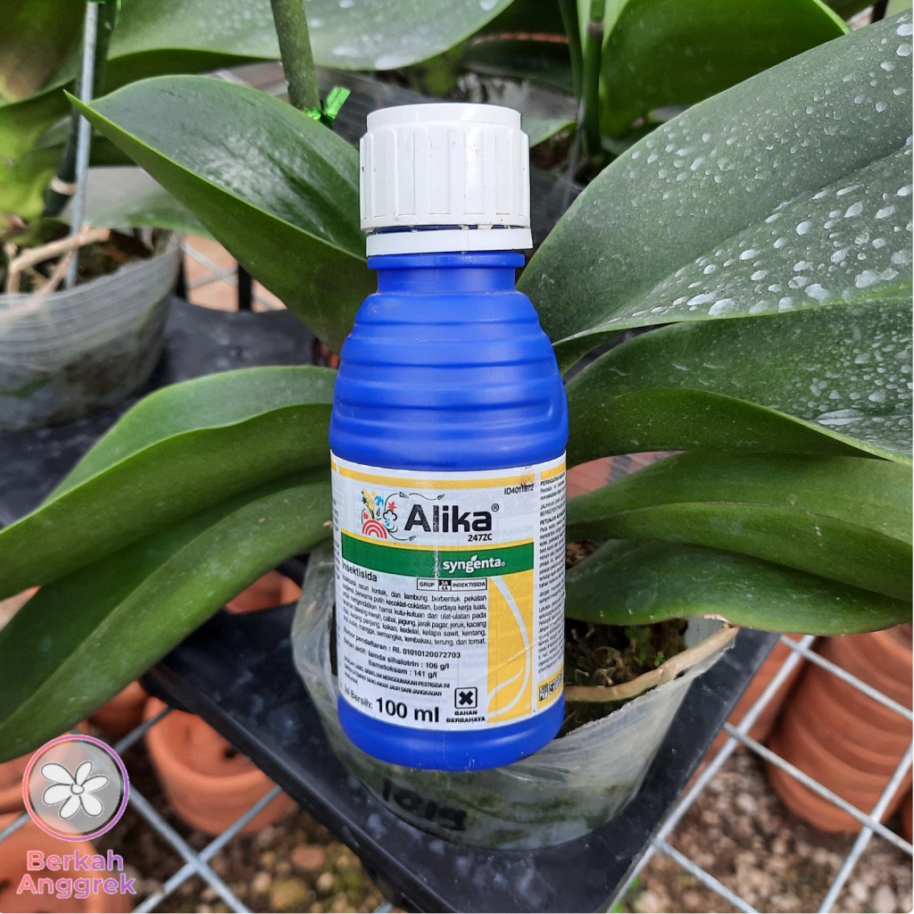 Alika 100 ml Insektisida Kutu Tanaman Anggrek