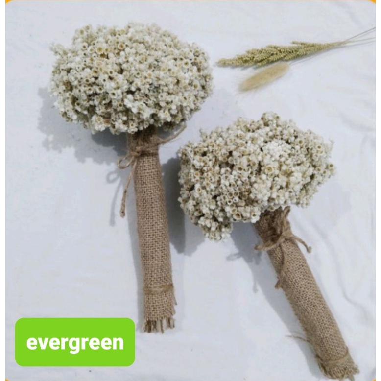 Bunga Edelweis Kering Set Kain Goni