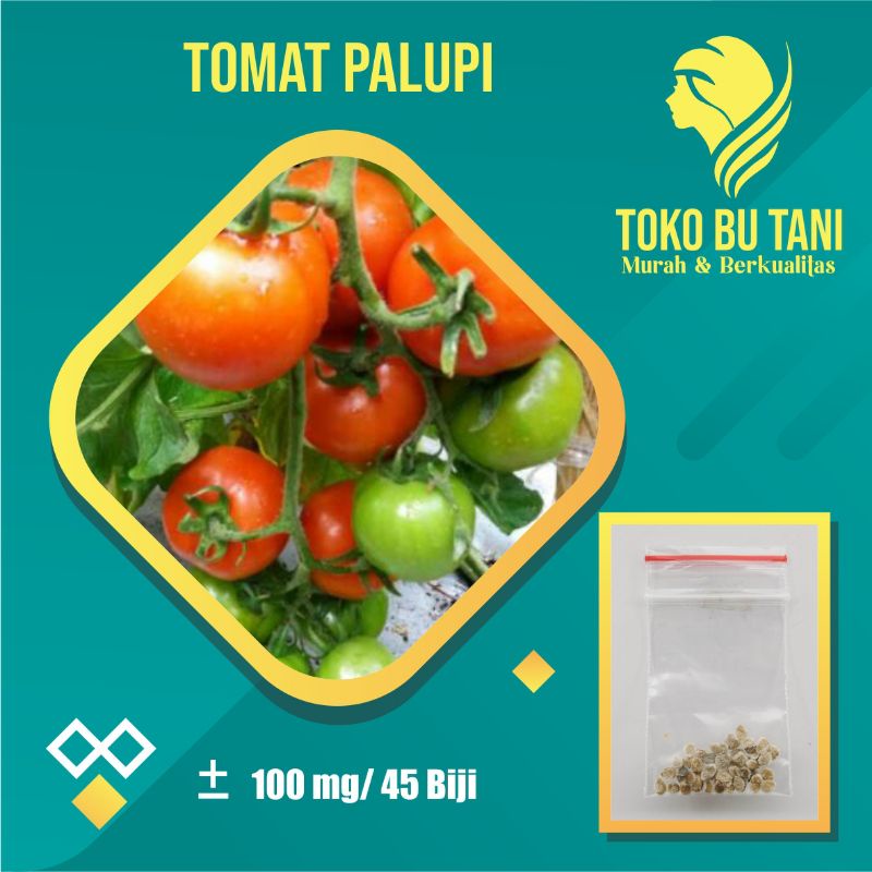 Benih Tomat Sayur Merah palupi Dataran Rendah Unggul Berkualitas - Bibit Tanaman Sayuran