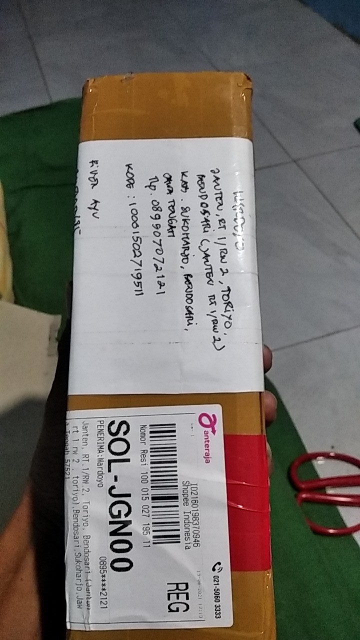 Tanaman Anggrek Botol Tebu Isi 30