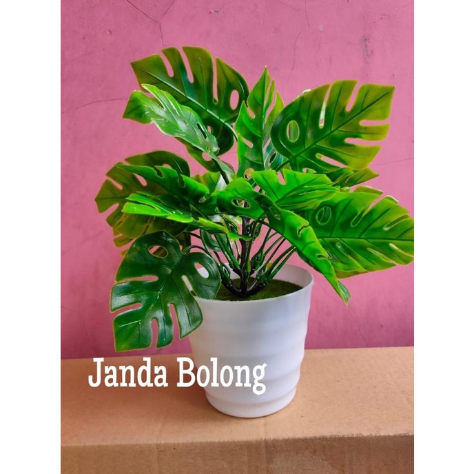 [Ready] Bunga Plastik Hias Tanaman Pot Bonsai Monstera Janda Bolong Palem [Artifical]