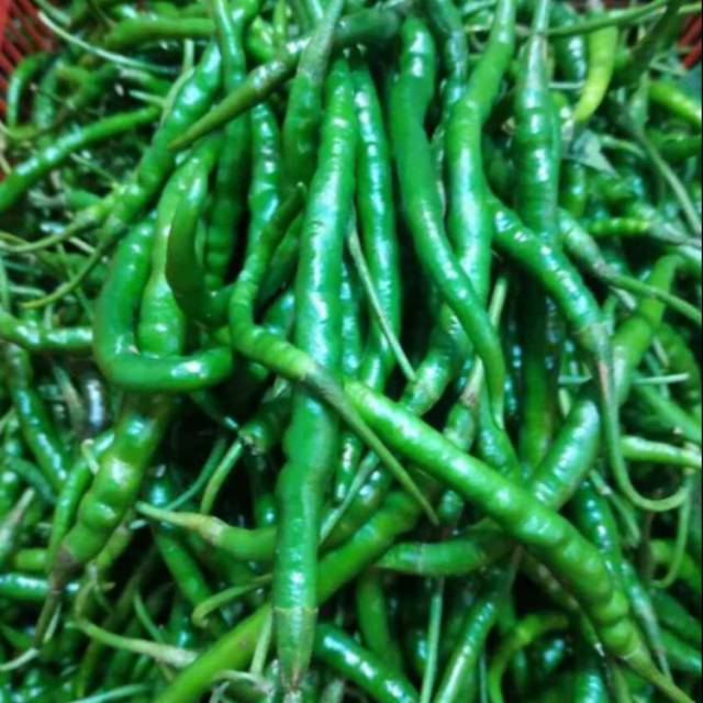 

CABE HIJAU KERITING IJO/250gr/500gr/1kg