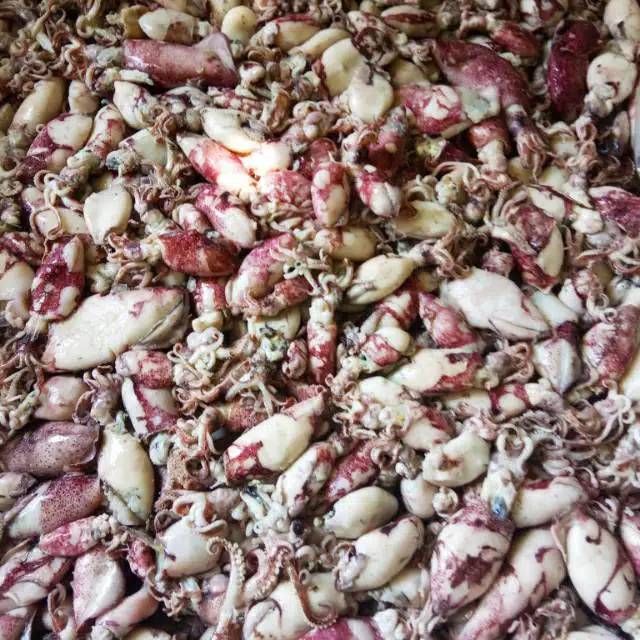 

Cumi Rebus Mini khas Rembang