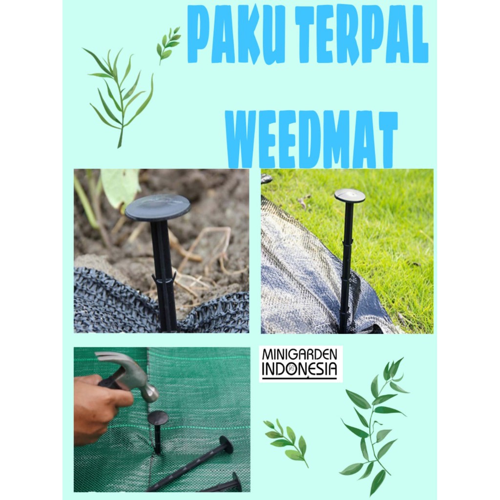 PAKU WEEDMAT ECER paku plastik mulsa terpla anti karat perekat alas pertanian mulsa rumput sintetis net