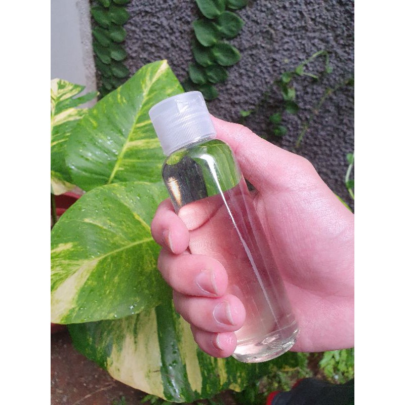 Minyak Kayu Putih Namlea, Pulau Buru, Ambon Asli