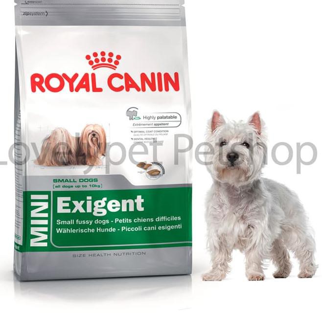 royal canin exigent small dogs