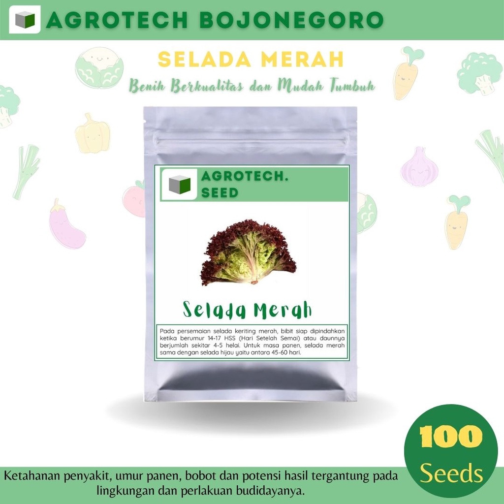 AGROTECH - BENIH BIBIT BIJI SELADA MERAH BERKUALITAS SUPER UNGGUL 100 SEEDS