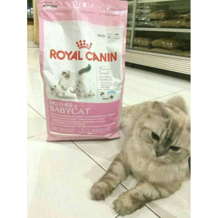 royal canin mother n baby cat repack 1kg