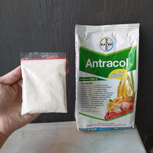 fungisida antracol/obat jamur repack 100 gram