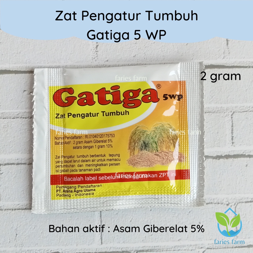 Zat Pengatur Tumbuh GATIGA 5 WP Hormon GA3 Giberelin Acid ZPT Tanaman Pembesar Buah Sachet