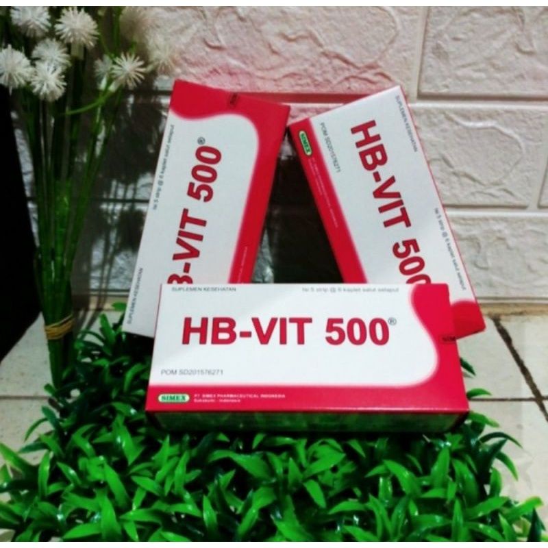 HB VIT 500 BOX ISI 30 KAPLET // HB VIT 500 MULTIVITAMIN DAN MINERAL UNTUK IBU HAMIL
