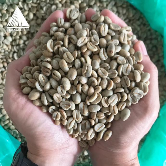 

Specialty - Green Bean - Red Honey Arabica - Flores Manggarai-Kartika