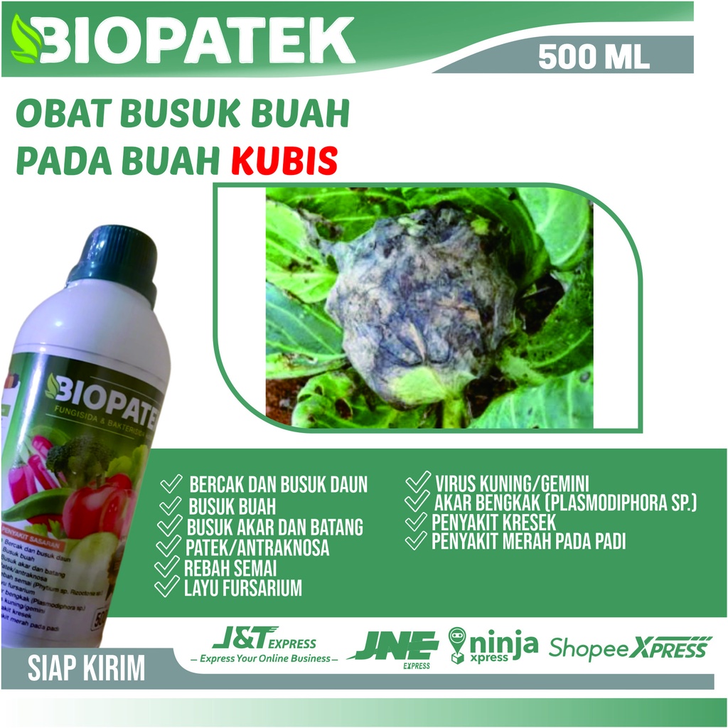 Insektisida Hama Ulat Buah Pada Tanaman Sawi - Biowasil 500 ML Obat Anti Hama Ulat Daun Pada Sawi Pa