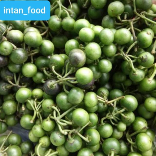 

Leunca fresh 500gr