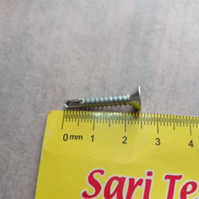 Sekrup roofing 2,5cm SDS FH 8x25