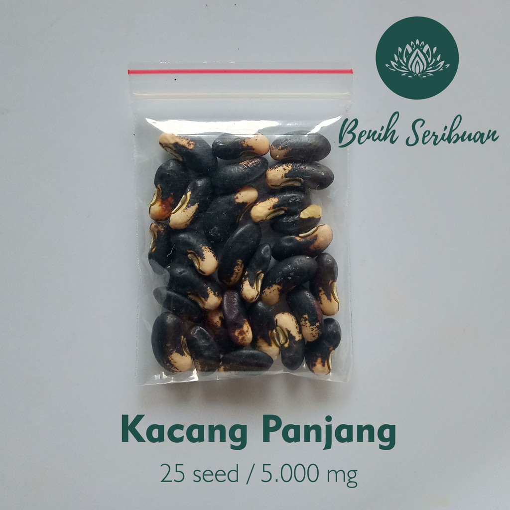 25 Biji Benih Kacang Panjang Sabrina Hitam Bibit Sayuran Unggul Berkualitas Tanaman Sayur Seribuan