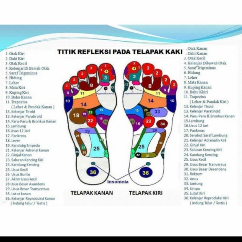 Sandal Terapi Kesehatan Sendal Terapi Rematik Alas Kaki Akupuntur INJOY