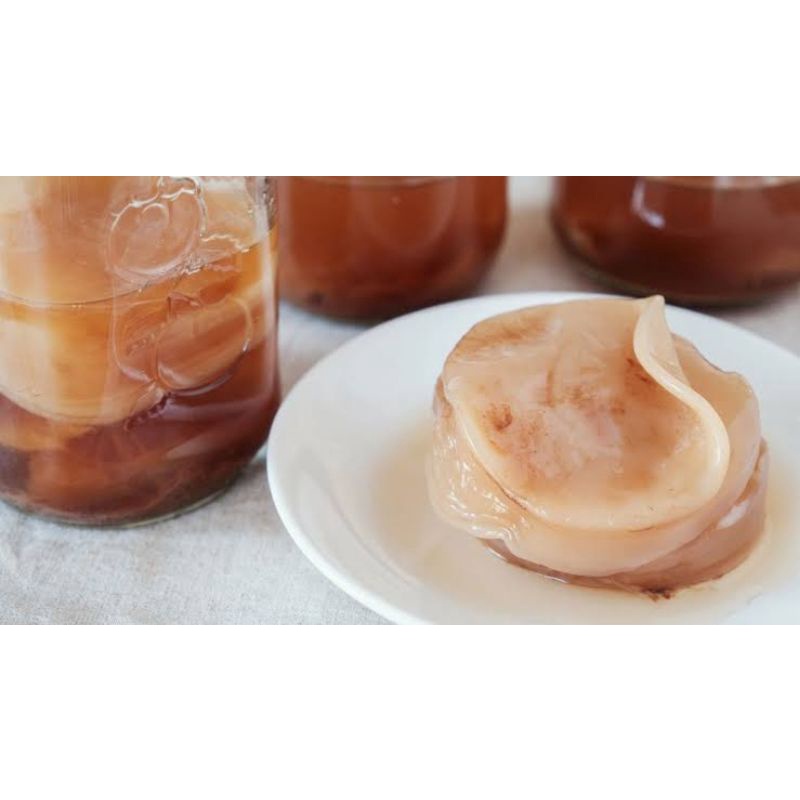

Scuby Kombucha Organik | Starter teh Kombucha | Masker Organik