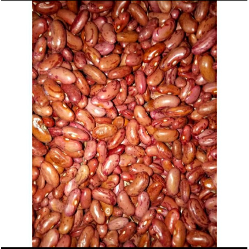 kacang merah fresh,kacang merah segar 250gram