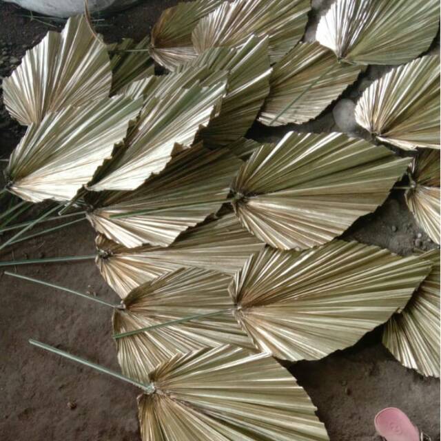 Daun palm kering gold dekorasi dan hiasan rumah