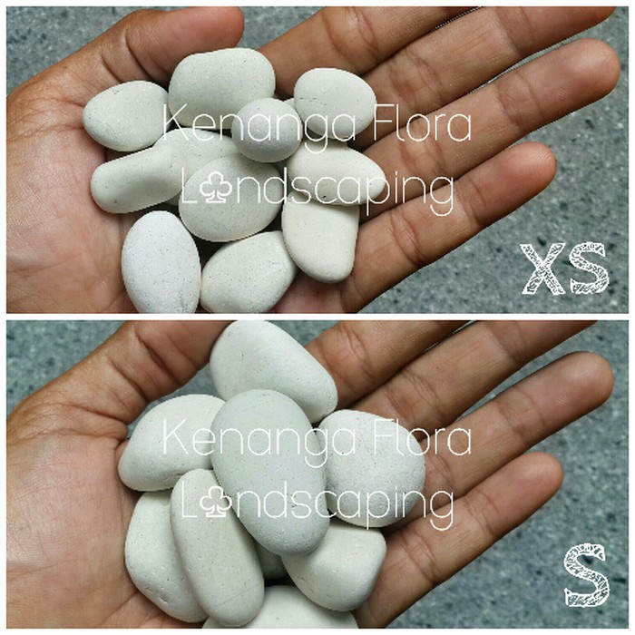 Batu Koral Putih Kupang 13kg S  dp270
