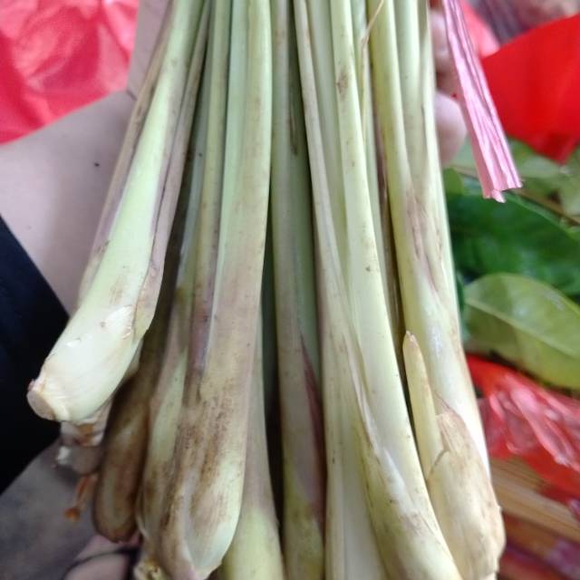 

Batang serai 500g