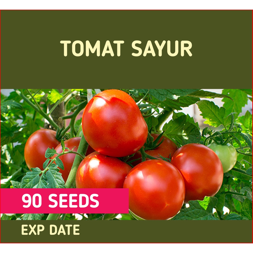 Tomat Repack Seed