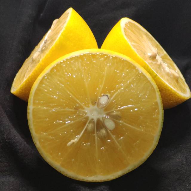 

Buah lemon California lokal