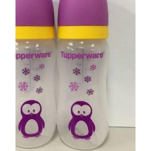 ℮ Cutie twee frog atau pinguin botol susul ✤