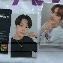 Uniform Border Carnival Jay / uni bdc jay