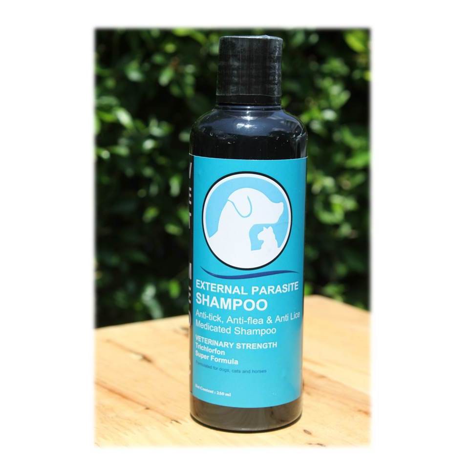 Shampoo Kutu Anjing Kucing (JP Shampoo - Parasite)