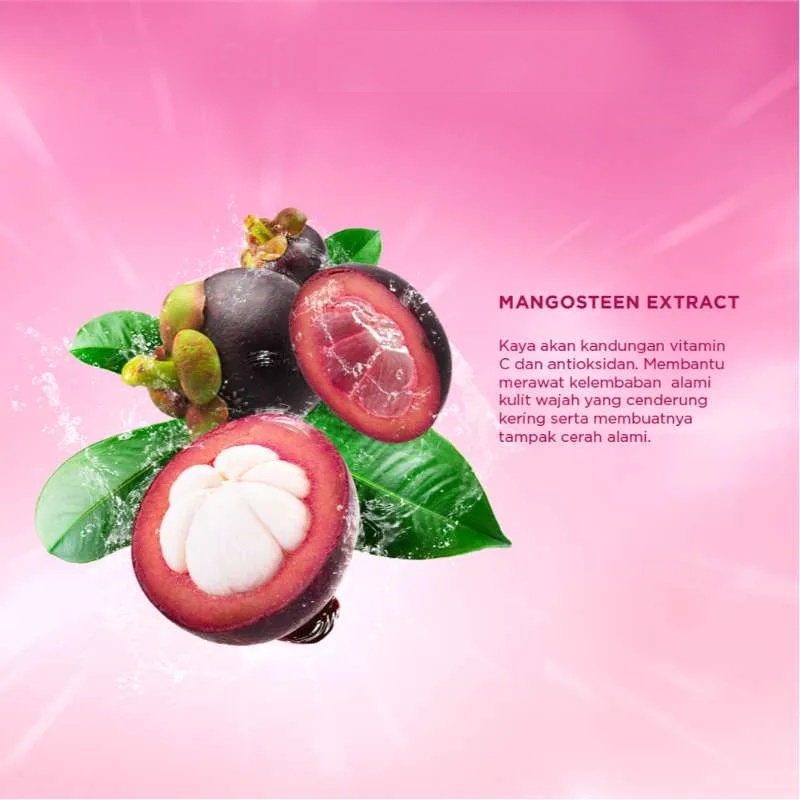 ⭐️ Beauty Expert ⭐️ Safi White Natural Brightening Cream Mangosteen 20g  Brightening Cream Mangosteen 45g