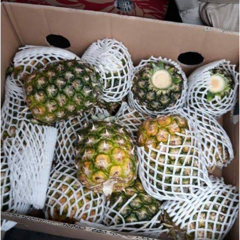 

Nanas Honi Mini Citra Segar Sehat per Box 14 biji